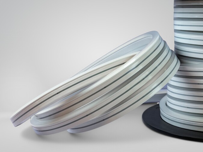Tira LED Neón flexible 220V